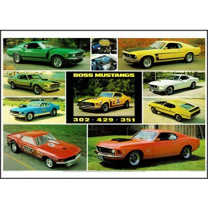 Ford Boss Mustang 302 351 429 Poster